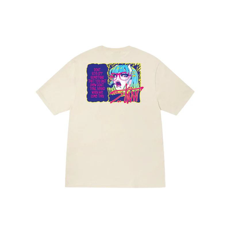 Stussy The Devil’s Instigation T-Shirt