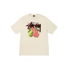 Stussy Tropical fruit vintage T-Shirt - Hình ảnh 8