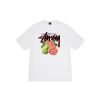 Stussy Tropical fruit vintage T-Shirt - Hình ảnh 2